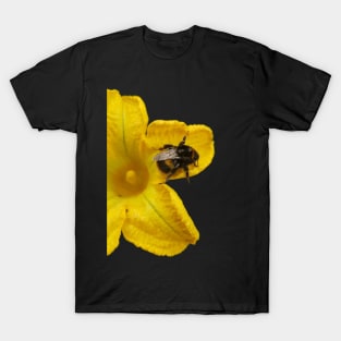 Bumble Bee on Yellow Flower T-Shirt